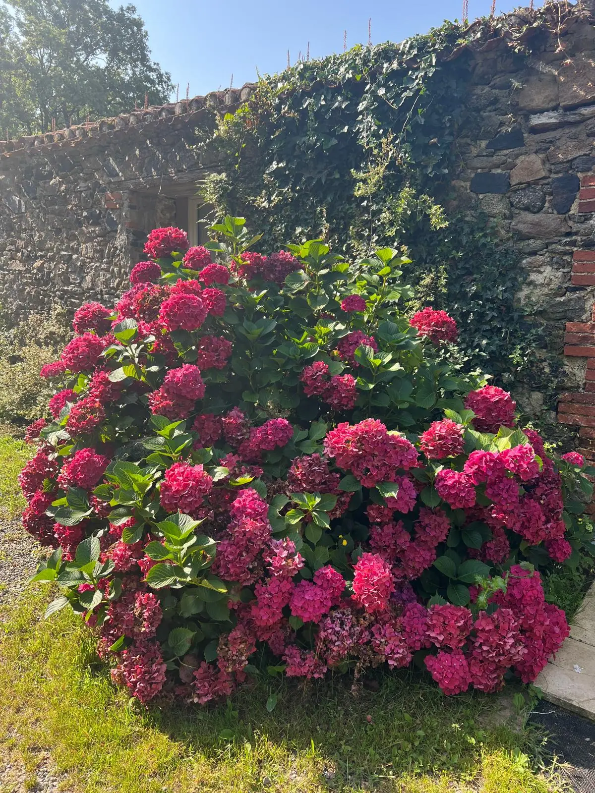 Le jardin de La Nonnerie